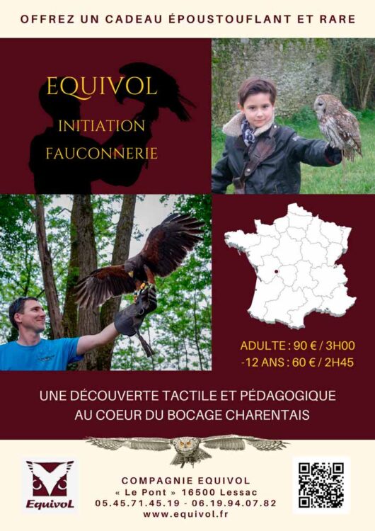 Enfants Fauconnerie Gilet Codura Chasse Colportage Oiseau Manutention Enfant